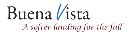 Buena Vista Group Chicago Heights Methadone Clinic
