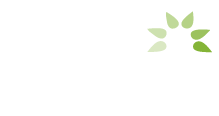 Westfall Associates